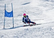 KAIYUN SPORTS-苏炳添的牌局，当亚洲闪电打出最多英超出牌，意外结果的背后，苏炳添的英超牌局，亚洲闪电的跨界冒险与意外终局