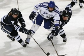 KAIYUN SPORTS-CBA常规赛最新形势：AC米兰高居榜首，金州勇士强势追赶，冠军归属成迷